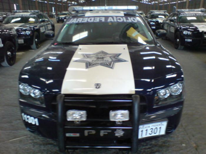 Tumbaburro de placa para Auto Patrulla Sedan